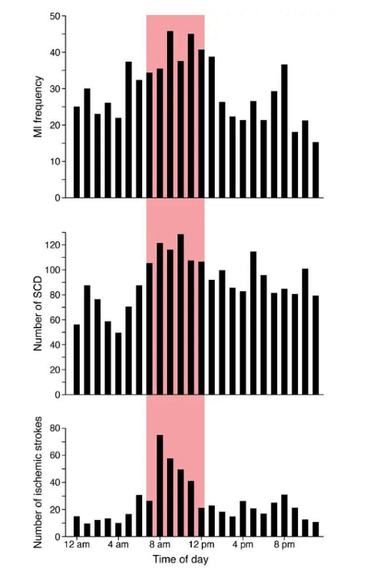 d16dd9de-79dc-48e5-bd16-412d02ab4c69
